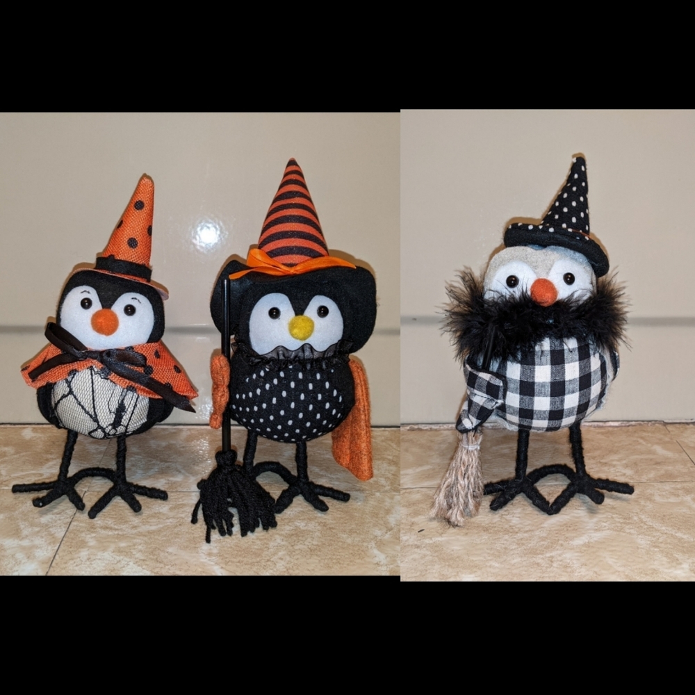 Rare Halloween birds